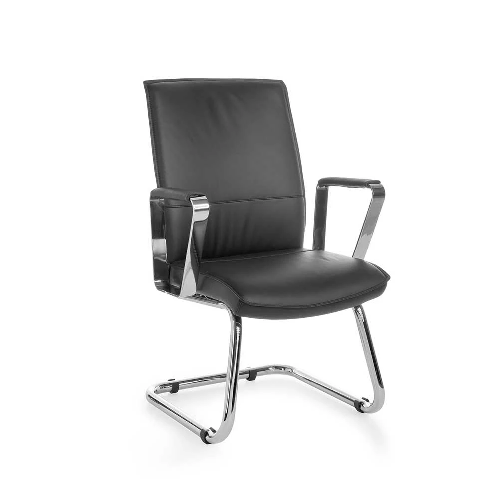 Armlehnen Freischwinger Aus Echtleder & Kunstleder - Janita - Image 2