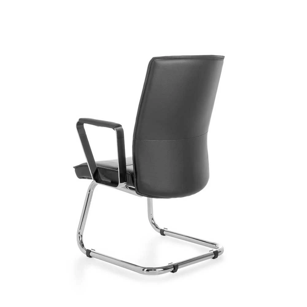 Armlehnen Freischwinger Aus Echtleder & Kunstleder - Janita - Image 5